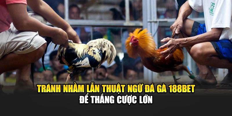 Tránh nhầm lẫn thuật ngữ đá gà 188Bet để thắng cược lớn